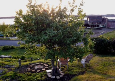 campobello